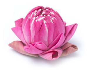 Lotus Flower Paper