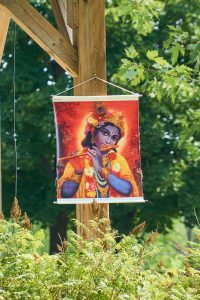 Gopala_DSC8308